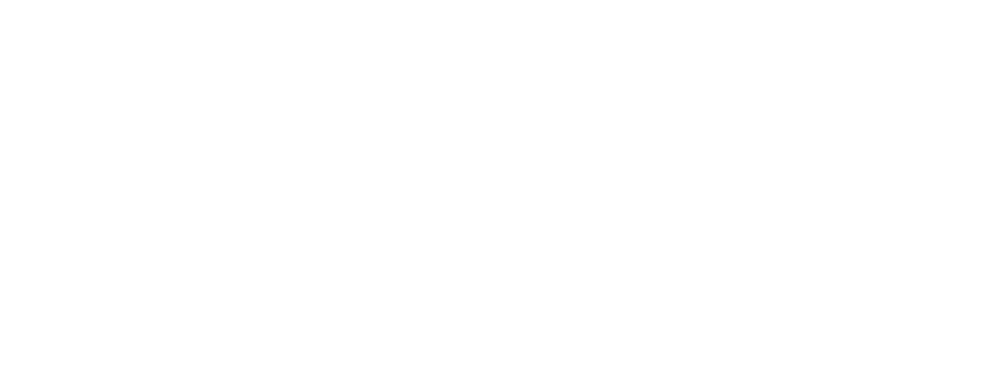 Elisa logo